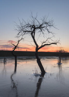 <i class='fa fa-user'></i>&nbsp;Leerdammerkees&nbsp;|  Hoogstamboomgaard&nbsp; <i class='fa fa-eye'>&nbsp;93</i> &nbsp;<i class='fa fa-thumbs-up'>&nbsp;1</i> &nbsp; <i class='fa fa-comment-o'>&nbsp;10</i>