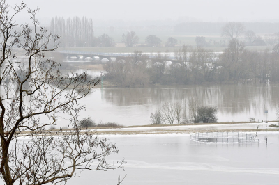 <i class='fa fa-user'></i>&nbsp;josephine&nbsp;|  De Rijn bij Wageningen&nbsp; <i class='fa fa-eye'>&nbsp;108</i> &nbsp;<i class='fa fa-thumbs-up'>&nbsp;5</i> &nbsp; <i class='fa fa-comment-o'>&nbsp;11</i>
