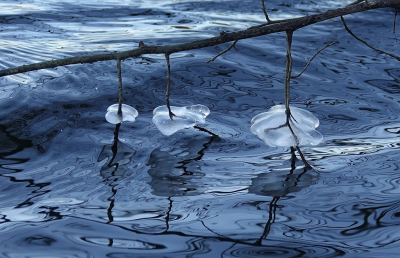 <i class='fa fa-user'></i>&nbsp;Nel R&nbsp;|  Spiegelingen in het water&nbsp; <i class='fa fa-eye'>&nbsp;69</i> &nbsp;<i class='fa fa-thumbs-up'>&nbsp;3</i> &nbsp; <i class='fa fa-comment-o'>&nbsp;5</i>