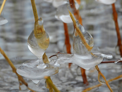 <i class='fa fa-user'></i>&nbsp;Jelle Bakker&nbsp;|  IJsafzetting&nbsp; <i class='fa fa-eye'>&nbsp;68</i> &nbsp;<i class='fa fa-thumbs-up'>&nbsp;1</i> &nbsp; <i class='fa fa-comment-o'>&nbsp;4</i>