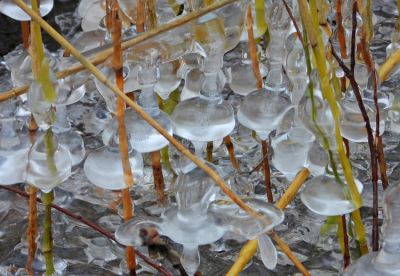 <i class='fa fa-user'></i>&nbsp;Jelle Bakker&nbsp;|  IJskunst&nbsp; <i class='fa fa-eye'>&nbsp;75</i> &nbsp; <i class='fa fa-comment-o'>&nbsp;4</i>