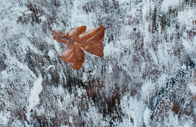 <i class='fa fa-user'></i>&nbsp;hesterb&nbsp;|  Vrije (inter)glaciale val?&nbsp; <i class='fa fa-eye'>&nbsp;79</i> &nbsp;<i class='fa fa-thumbs-up'>&nbsp;1</i> &nbsp; <i class='fa fa-comment-o'>&nbsp;3</i>