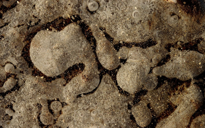 <i class='fa fa-user'></i>&nbsp;Tineke Strijbosch&nbsp;|  IJsvormen&nbsp; <i class='fa fa-eye'>&nbsp;64</i> &nbsp;<i class='fa fa-thumbs-up'>&nbsp;1</i> &nbsp; <i class='fa fa-comment-o'>&nbsp;4</i>