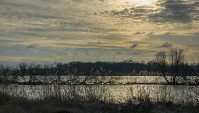 <i class='fa fa-user'></i>&nbsp;ErnovanDoorn&nbsp;|  De Zaag en Lek&nbsp; <i class='fa fa-eye'>&nbsp;75</i> &nbsp;<i class='fa fa-thumbs-up'>&nbsp;2</i> &nbsp; <i class='fa fa-comment-o'>&nbsp;9</i>