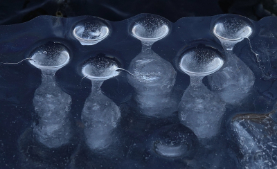 <i class='fa fa-user'></i>&nbsp;Nel R&nbsp;|  Eierdoppen onder het ijs&nbsp; <i class='fa fa-eye'>&nbsp;100</i> &nbsp;<i class='fa fa-thumbs-up'>&nbsp;3</i> &nbsp; <i class='fa fa-comment-o'>&nbsp;8</i>