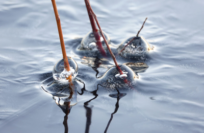 <i class='fa fa-user'></i>&nbsp;nelappelmelk&nbsp;|  IJsvormen&nbsp; <i class='fa fa-eye'>&nbsp;60</i> &nbsp; <i class='fa fa-comment-o'>&nbsp;4</i>