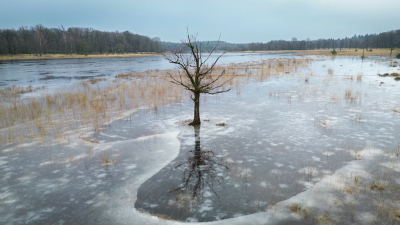 <i class='fa fa-user'></i>&nbsp;Reinier van den Born&nbsp;|  Eenzame boom&nbsp; <i class='fa fa-eye'>&nbsp;80</i> &nbsp; <i class='fa fa-comment-o'>&nbsp;8</i>