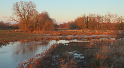 <i class='fa fa-user'></i>&nbsp;Tineke Strijbosch&nbsp;|  Op weg naar het blauwe uurtje&nbsp; <i class='fa fa-eye'>&nbsp;66</i> &nbsp; <i class='fa fa-comment-o'>&nbsp;6</i>