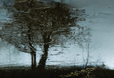 <i class='fa fa-user'></i>&nbsp;ErnovanDoorn&nbsp;|  IJsschilderij&nbsp; <i class='fa fa-eye'>&nbsp;75</i> &nbsp; <i class='fa fa-comment-o'>&nbsp;5</i>