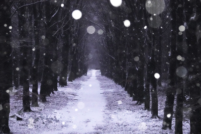 <i class='fa fa-user'></i>&nbsp;nelappelmelk&nbsp;|  Winter Wonderland&nbsp; <i class='fa fa-eye'>&nbsp;112</i> &nbsp;<i class='fa fa-thumbs-up'>&nbsp;7</i> &nbsp; <i class='fa fa-comment-o'>&nbsp;12</i>