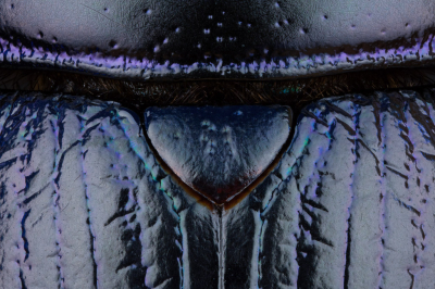 <i class='fa fa-user'></i>&nbsp;Adri Gr Nuelend&nbsp;|  Bosmestkever&nbsp; <i class='fa fa-eye'>&nbsp;171</i> &nbsp;<i class='fa fa-thumbs-up'>&nbsp;5</i> &nbsp; <i class='fa fa-comment-o'>&nbsp;10</i>