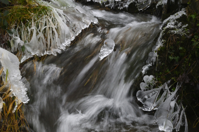 <i class='fa fa-user'></i>&nbsp;liesbeth van vliet&nbsp;|  IJspegels&nbsp; <i class='fa fa-eye'>&nbsp;93</i> &nbsp;<i class='fa fa-thumbs-up'>&nbsp;1</i> &nbsp; <i class='fa fa-comment-o'>&nbsp;4</i>