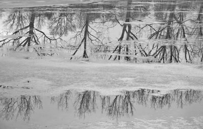 <i class='fa fa-user'></i>&nbsp;Nel R&nbsp;|  Dooi&nbsp; <i class='fa fa-eye'>&nbsp;79</i> &nbsp;<i class='fa fa-thumbs-up'>&nbsp;2</i> &nbsp; <i class='fa fa-comment-o'>&nbsp;6</i>