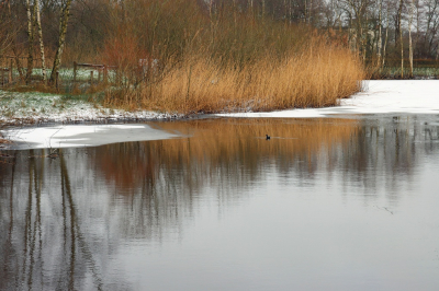 <i class='fa fa-user'></i>&nbsp;Tineke Strijbosch&nbsp;|  Kwakkelwinter&nbsp; <i class='fa fa-eye'>&nbsp;64</i> &nbsp;<i class='fa fa-thumbs-up'>&nbsp;1</i> &nbsp; <i class='fa fa-comment-o'>&nbsp;2</i>