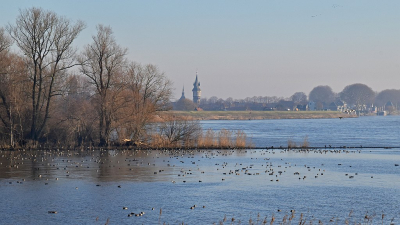 <i class='fa fa-user'></i>&nbsp;kooyammers&nbsp;|  Zicht op Schoonhoven&nbsp; <i class='fa fa-eye'>&nbsp;81</i> &nbsp;<i class='fa fa-thumbs-up'>&nbsp;2</i> &nbsp; <i class='fa fa-comment-o'>&nbsp;4</i>