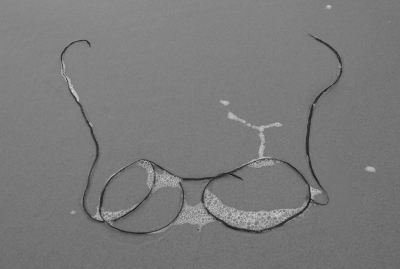 <i class='fa fa-user'></i>&nbsp;Nel R&nbsp;|  Riemwier&nbsp; <i class='fa fa-eye'>&nbsp;165</i> &nbsp;<i class='fa fa-thumbs-up'>&nbsp;5</i> &nbsp; <i class='fa fa-comment-o'>&nbsp;20</i>