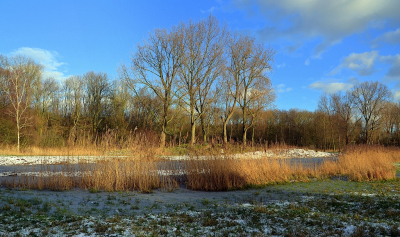 <i class='fa fa-user'></i>&nbsp;B.M.Schouten-Ruis&nbsp;|  Landschap Kralingse Bos&nbsp; <i class='fa fa-eye'>&nbsp;76</i> &nbsp; <i class='fa fa-comment-o'>&nbsp;3</i>