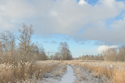 <i class='fa fa-user'></i>&nbsp;Hendrik van Kampen&nbsp;|  Fjirtich m�d&nbsp; <i class='fa fa-eye'>&nbsp;123</i> &nbsp;<i class='fa fa-thumbs-up'>&nbsp;10</i> &nbsp; <i class='fa fa-comment-o'>&nbsp;12</i>