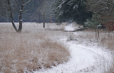 <i class='fa fa-user'></i>&nbsp;nelappelmelk&nbsp;|  Winters pad&nbsp; <i class='fa fa-eye'>&nbsp;96</i> &nbsp; <i class='fa fa-comment-o'>&nbsp;5</i>