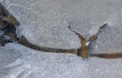 <i class='fa fa-user'></i>&nbsp;liesbeth van vliet&nbsp;|  IJstekening van Vale Gier&nbsp; <i class='fa fa-eye'>&nbsp;158</i> &nbsp;<i class='fa fa-thumbs-up'>&nbsp;5</i> &nbsp; <i class='fa fa-comment-o'>&nbsp;11</i>