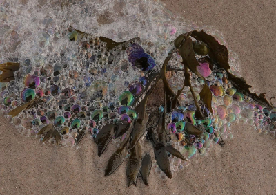 <i class='fa fa-user'></i>&nbsp;Nel R&nbsp;|  Blaaswier&nbsp; <i class='fa fa-eye'>&nbsp;100</i> &nbsp;<i class='fa fa-thumbs-up'>&nbsp;7</i> &nbsp; <i class='fa fa-comment-o'>&nbsp;5</i>