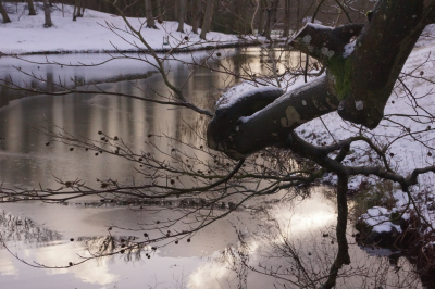 <i class='fa fa-user'></i>&nbsp;hesterb&nbsp;|  Versiering vijver&nbsp; <i class='fa fa-eye'>&nbsp;71</i> &nbsp;<i class='fa fa-thumbs-up'>&nbsp;1</i> &nbsp; <i class='fa fa-comment-o'>&nbsp;4</i>