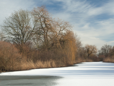 <i class='fa fa-user'></i>&nbsp;susan meijnders&nbsp;|  Winterprik&nbsp; <i class='fa fa-eye'>&nbsp;95</i> &nbsp;<i class='fa fa-thumbs-up'>&nbsp;2</i> &nbsp; <i class='fa fa-comment-o'>&nbsp;7</i>