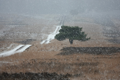 <i class='fa fa-user'></i>&nbsp;nelappelmelk&nbsp;|  Oud karrenpad&nbsp; <i class='fa fa-eye'>&nbsp;136</i> &nbsp;<i class='fa fa-thumbs-up'>&nbsp;5</i> &nbsp; <i class='fa fa-comment-o'>&nbsp;6</i>