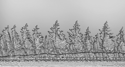 <i class='fa fa-user'></i>&nbsp;Nel R&nbsp;|  IJsboompjes&nbsp; <i class='fa fa-eye'>&nbsp;94</i> &nbsp;<i class='fa fa-thumbs-up'>&nbsp;7</i> &nbsp; <i class='fa fa-comment-o'>&nbsp;8</i>