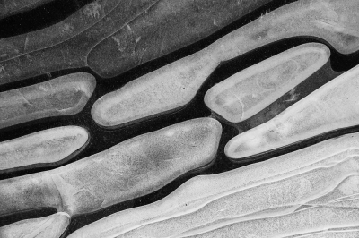 <i class='fa fa-user'></i>&nbsp;nelappelmelk&nbsp;|  Bommetjesijs&nbsp; <i class='fa fa-eye'>&nbsp;73</i> &nbsp; <i class='fa fa-comment-o'>&nbsp;4</i>