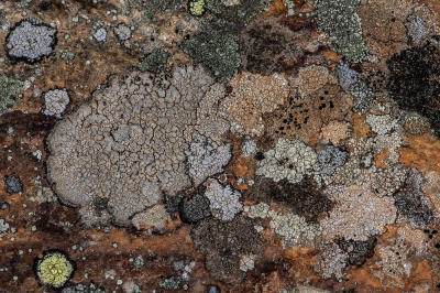 <i class='fa fa-user'></i>&nbsp;Johan van Gurp&nbsp;|  Verborgen Schotelkorst&nbsp; <i class='fa fa-eye'>&nbsp;91</i> &nbsp;<i class='fa fa-thumbs-up'>&nbsp;8</i> &nbsp; <i class='fa fa-comment-o'>&nbsp;10</i>