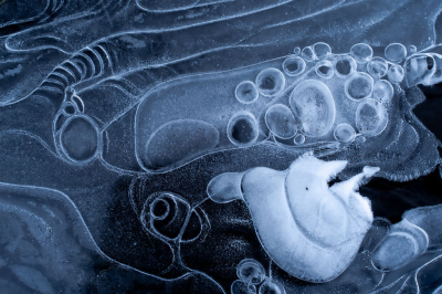 <i class='fa fa-user'></i>&nbsp;mkievits&nbsp;|  IJssculpturen&nbsp; <i class='fa fa-eye'>&nbsp;113</i> &nbsp;<i class='fa fa-thumbs-up'>&nbsp;15</i> &nbsp; <i class='fa fa-comment-o'>&nbsp;12</i>