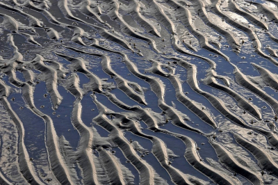 <i class='fa fa-user'></i>&nbsp;Nel R&nbsp;|  Ribbels in het zand&nbsp; <i class='fa fa-eye'>&nbsp;56</i> &nbsp;<i class='fa fa-thumbs-up'>&nbsp;1</i> &nbsp; <i class='fa fa-comment-o'>&nbsp;2</i>