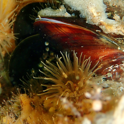 <i class='fa fa-user'></i>&nbsp;A. Soeting&nbsp;|  Golfbrekeranemoon&nbsp; <i class='fa fa-eye'>&nbsp;74</i> &nbsp;<i class='fa fa-thumbs-up'>&nbsp;5</i> &nbsp; <i class='fa fa-comment-o'>&nbsp;6</i>