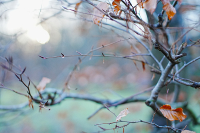 <i class='fa fa-user'></i>&nbsp;hesterb&nbsp;|  Offcentre Beuk&nbsp; <i class='fa fa-eye'>&nbsp;70</i> &nbsp;<i class='fa fa-thumbs-up'>&nbsp;1</i> &nbsp; <i class='fa fa-comment-o'>&nbsp;2</i>