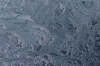 <i class='fa fa-user'></i>&nbsp;Ad Sprang&nbsp;|  IJsbloemen&nbsp; <i class='fa fa-eye'>&nbsp;76</i> &nbsp;<i class='fa fa-thumbs-up'>&nbsp;3</i> &nbsp; <i class='fa fa-comment-o'>&nbsp;6</i>