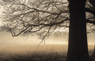 <i class='fa fa-user'></i>&nbsp;ErnovanDoorn&nbsp;|  Magisch licht 1&nbsp; <i class='fa fa-eye'>&nbsp;88</i> &nbsp;<i class='fa fa-thumbs-up'>&nbsp;2</i> &nbsp; <i class='fa fa-comment-o'>&nbsp;1</i>