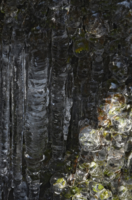 <i class='fa fa-user'></i>&nbsp;liesbeth van vliet&nbsp;|  IJspegels&nbsp; <i class='fa fa-eye'>&nbsp;81</i> &nbsp;<i class='fa fa-thumbs-up'>&nbsp;1</i> &nbsp; <i class='fa fa-comment-o'>&nbsp;7</i>