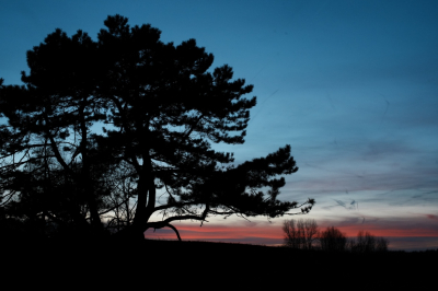 <i class='fa fa-user'></i>&nbsp;hesterb&nbsp;|  Avond&nbsp; <i class='fa fa-eye'>&nbsp;102</i> &nbsp;<i class='fa fa-thumbs-up'>&nbsp;2</i> &nbsp; <i class='fa fa-comment-o'>&nbsp;5</i>