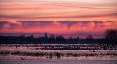 <i class='fa fa-user'></i>&nbsp;Leerdammerkees&nbsp;|  Zonsopgang en saharastof&nbsp; <i class='fa fa-eye'>&nbsp;155</i> &nbsp;<i class='fa fa-thumbs-up'>&nbsp;14</i> &nbsp; <i class='fa fa-comment-o'>&nbsp;11</i>