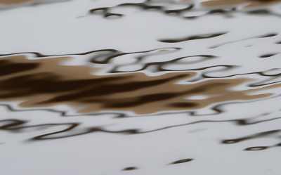 <i class='fa fa-user'></i>&nbsp;Truus Aletta Maan&nbsp;|  Water&nbsp; <i class='fa fa-eye'>&nbsp;83</i> &nbsp;<i class='fa fa-thumbs-up'>&nbsp;2</i> &nbsp; <i class='fa fa-comment-o'>&nbsp;7</i>