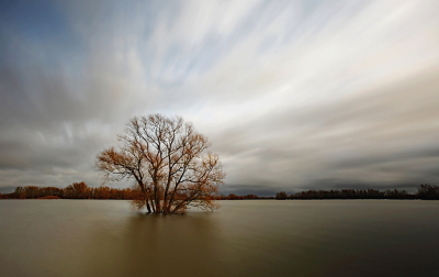  / Ondergelopen landschap / -