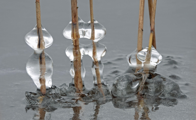 <i class='fa fa-user'></i>&nbsp;nelappelmelk&nbsp;|  Satestokjes&nbsp; <i class='fa fa-eye'>&nbsp;88</i> &nbsp;<i class='fa fa-thumbs-up'>&nbsp;3</i> &nbsp; <i class='fa fa-comment-o'>&nbsp;10</i>