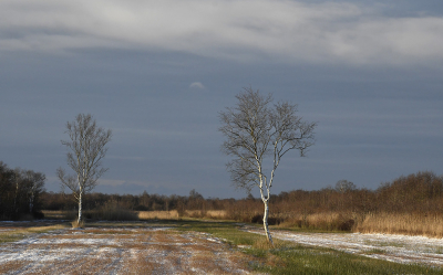 <i class='fa fa-user'></i>&nbsp;Eric Gibcus&nbsp;|  Berk&nbsp; <i class='fa fa-eye'>&nbsp;91</i> &nbsp;<i class='fa fa-thumbs-up'>&nbsp;1</i> &nbsp; <i class='fa fa-comment-o'>&nbsp;2</i>