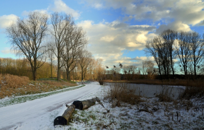 <i class='fa fa-user'></i>&nbsp;B.M.Schouten-Ruis&nbsp;|  Sneeuwlandschap Kralingse Bos&nbsp; <i class='fa fa-eye'>&nbsp;75</i> &nbsp; <i class='fa fa-comment-o'>&nbsp;7</i>