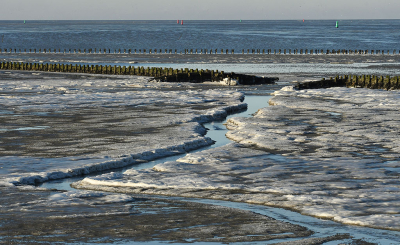 <i class='fa fa-user'></i>&nbsp;Eric Gibcus&nbsp;|  Waddenzee&nbsp; <i class='fa fa-eye'>&nbsp;97</i> &nbsp; <i class='fa fa-comment-o'>&nbsp;3</i>