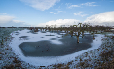 <i class='fa fa-user'></i>&nbsp;Leerdammerkees&nbsp;|  Hoogstam op hoogwater&nbsp; <i class='fa fa-eye'>&nbsp;82</i> &nbsp;<i class='fa fa-thumbs-up'>&nbsp;5</i> &nbsp; <i class='fa fa-comment-o'>&nbsp;5</i>
