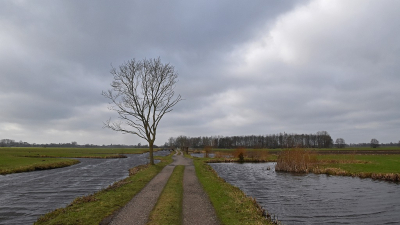 <i class='fa fa-user'></i>&nbsp;kooyammers&nbsp;|  Desolaat&nbsp; <i class='fa fa-eye'>&nbsp;87</i> &nbsp;<i class='fa fa-thumbs-up'>&nbsp;3</i> &nbsp; <i class='fa fa-comment-o'>&nbsp;10</i>