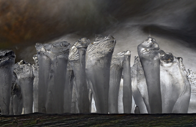 <i class='fa fa-user'></i>&nbsp;liesbeth van vliet&nbsp;|  IJspegels&nbsp; <i class='fa fa-eye'>&nbsp;114</i> &nbsp;<i class='fa fa-thumbs-up'>&nbsp;7</i> &nbsp; <i class='fa fa-comment-o'>&nbsp;11</i>