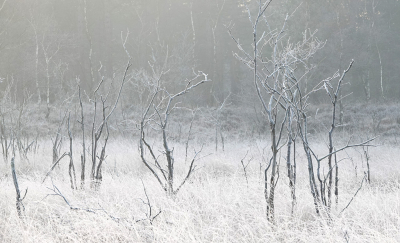 <i class='fa fa-user'></i>&nbsp;nelappelmelk&nbsp;|  Rijp&nbsp; <i class='fa fa-eye'>&nbsp;114</i> &nbsp; <i class='fa fa-comment-o'>&nbsp;8</i>